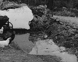 《土地来的水》：环境灾难下的生存与道德困境