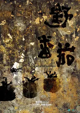 《野番茄》影评：一场禁忌之恋的暗涌，在末世废土中绽放的血色罗曼蒂克