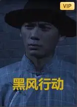 《黑风计划》：剧情反转太硬核！看完直呼过瘾，这波犯罪心理分析绝了！