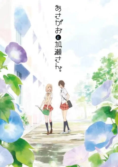 《牵牛花与加濑同学。》：少女心事何处寄？纯爱到让人尖叫的番茄味初恋！