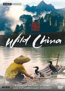 《美丽中国》：纪录片视角下的壮丽山河与生态文明，一曲献给地球的赞歌